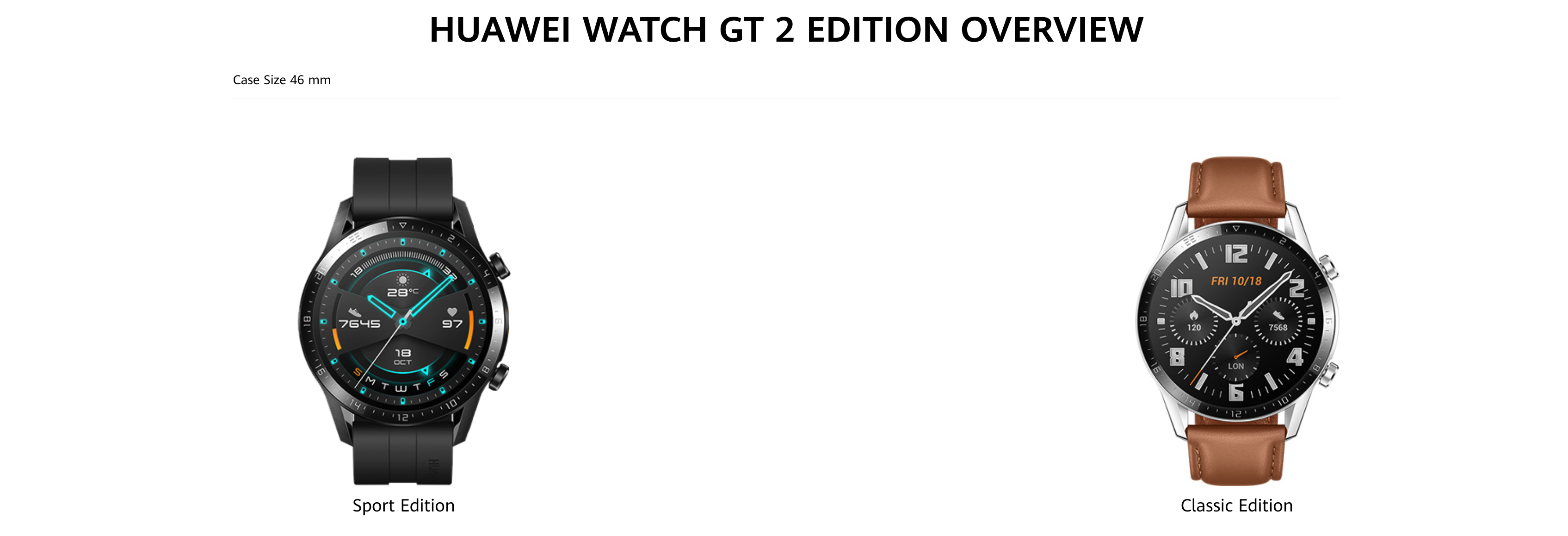 HUAWEI Watch GT 2 (Classic Edition - 46mm) - HUAWEI Authorised Experience  Store